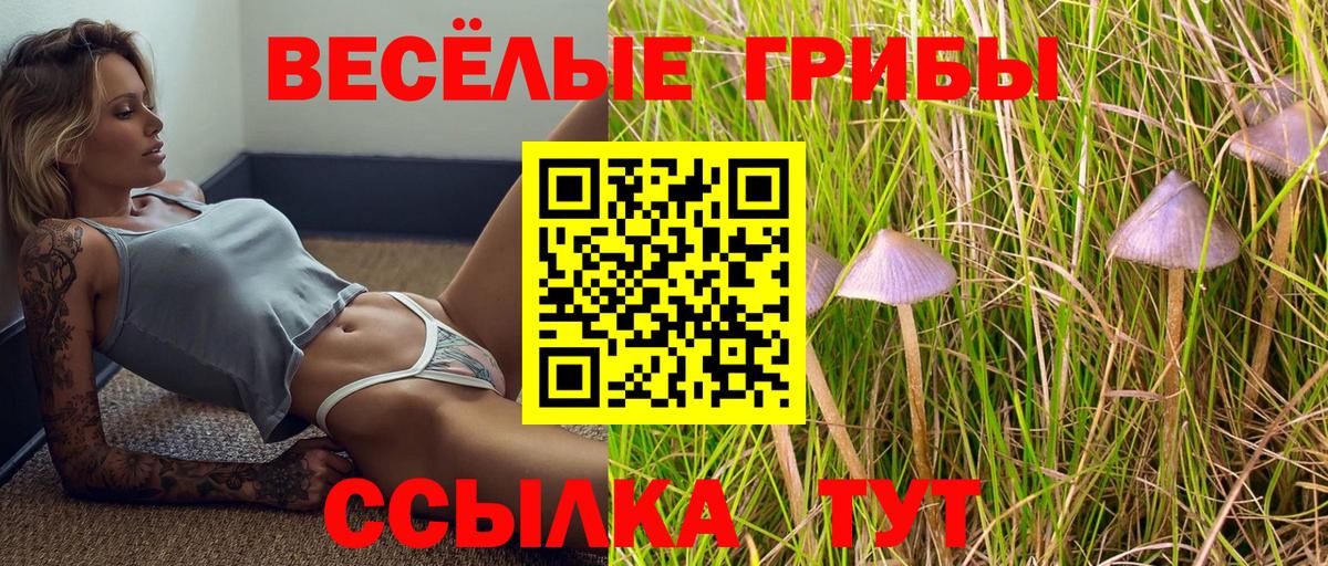 Москва  Псилоцибиновые грибы Cubensis  Вход с VPN 